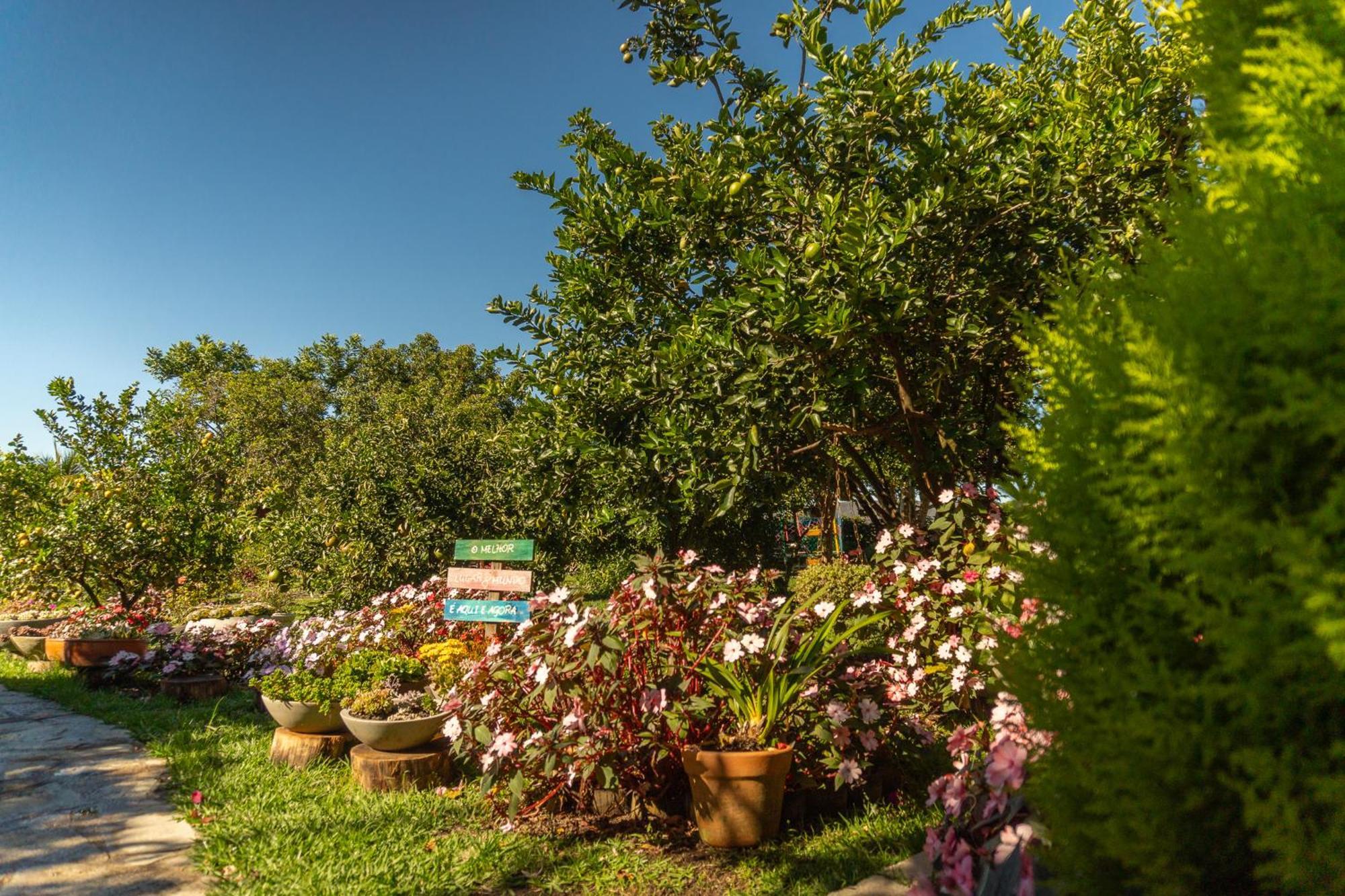 Vila Da Mata Chales Alto Paraiso de Goias Exterior photo